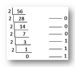 Binary Equivalent 