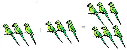 Addition Facts | Count and Complete the Addition Facts | Count the Objects