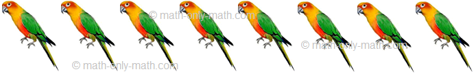 Count Number Eight - Birds