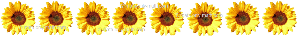 Count Number Eight - Flowers