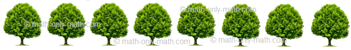 Count Number Eight - Trees