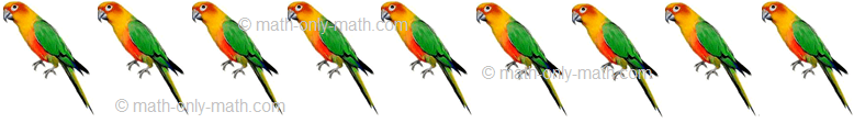 Count Number Nine - Birds