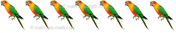 Count Number Seven - Birds