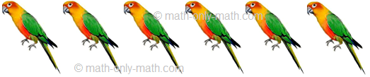 Count Number Six - Birds