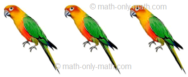 Count Number Three - Birds