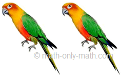 Count Number Two - Birds