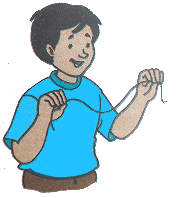 Curved Line Activity Curved Line Activity