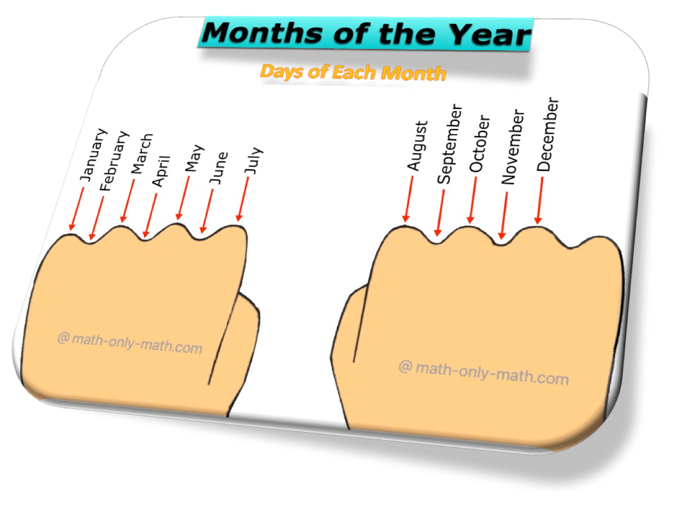 Here we will learn the rule of knuckle to understand the number of days in a month. All the knuckles show the months with 31 days. The others (except February) have 30 days.