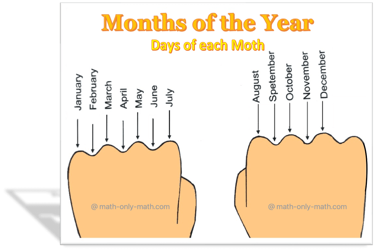 Here we will learn the rule of knuckle to understand the number of days in a month. All the knuckles show the months with 31 days. The others (except February) have 30 days.