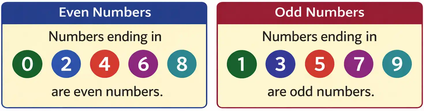 Even Numbers and Odd Numbers Even Numbers and Odd Numbers