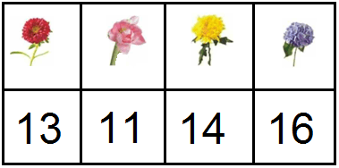 Flower Garden Data