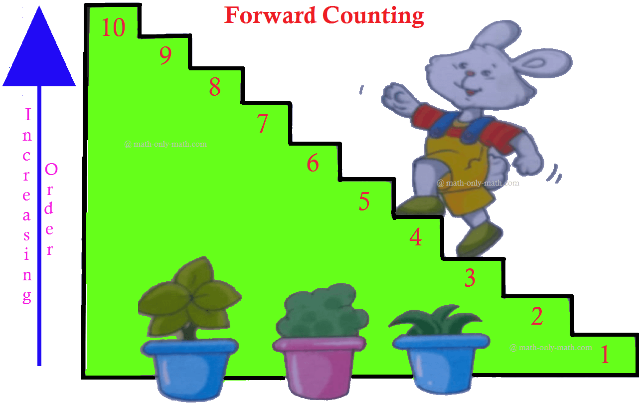 Learning of counting forward and backward upto 10 should never be rushed through. Counting forward and backward is a fundamental concept in the primary stage that needs to be handled wisely. Once the child understands the basic concept, there will be no difficulty