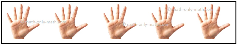 Group of 5 Fingers