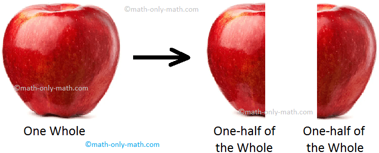 Concept of Fractions |Concept of Half| Concept of One Fourth|Two Third