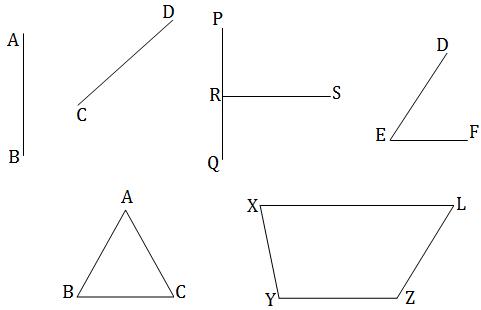 many line segments