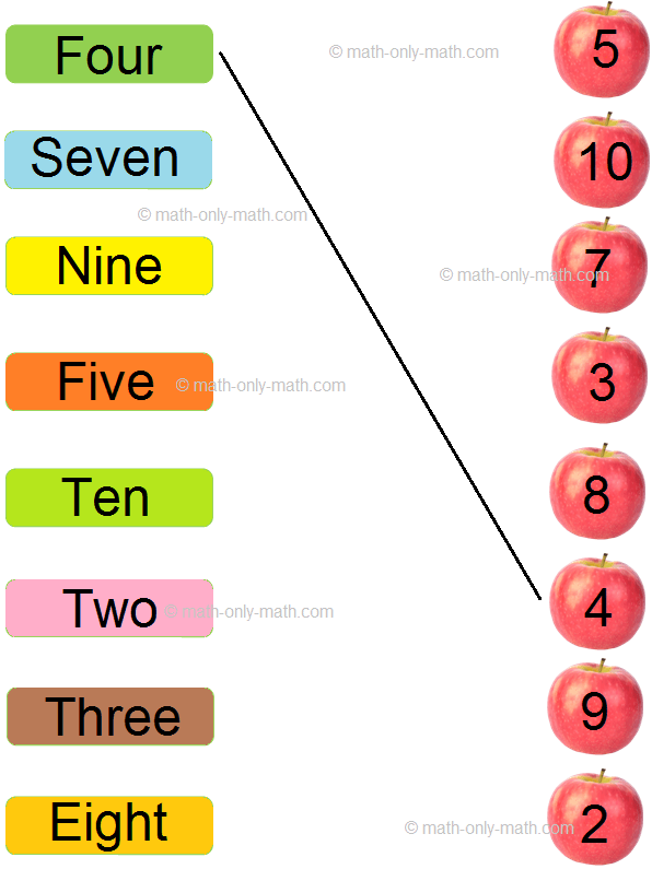 Match the Numbers with their Names