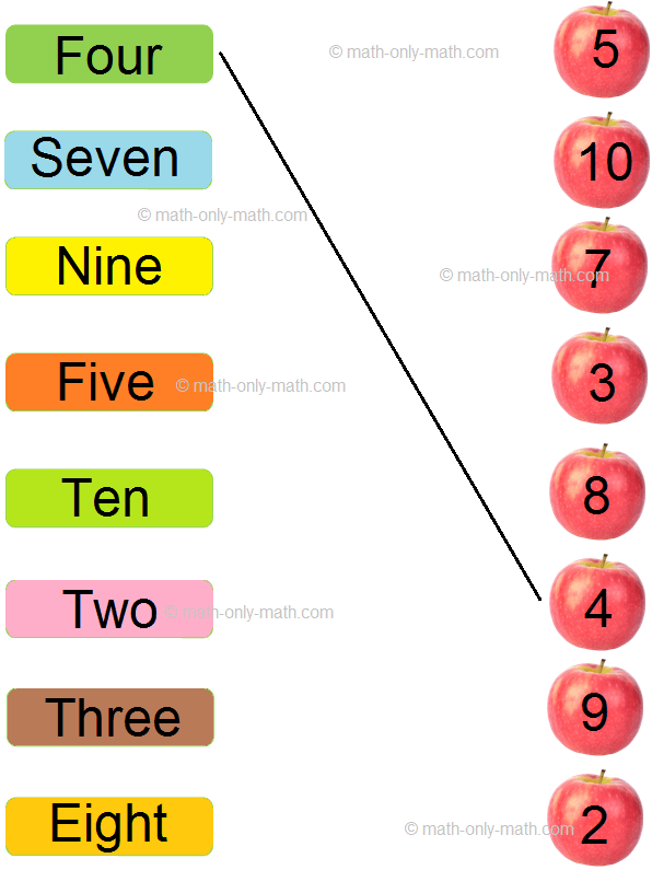 Matching Number Names Worksheet Matching Numbers To Number Names Worksheet Carry Turnbow