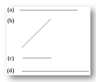 measure these line segments