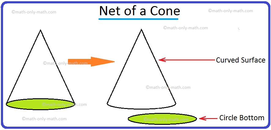 Net of a Cone
