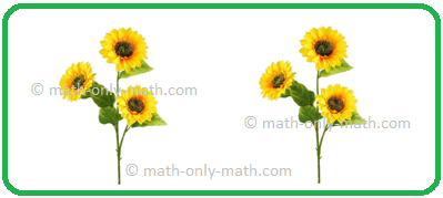 Number of Flowers