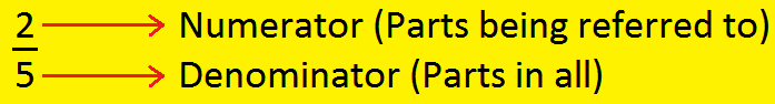 Numerator and Denominator of a Fraction