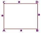 perimeter and area of square