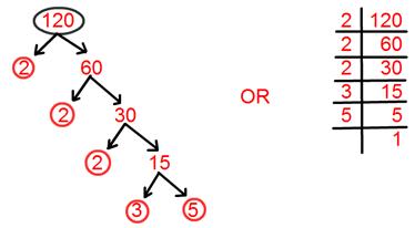 Tree Factorisation Method