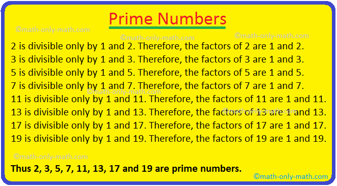Prime Number