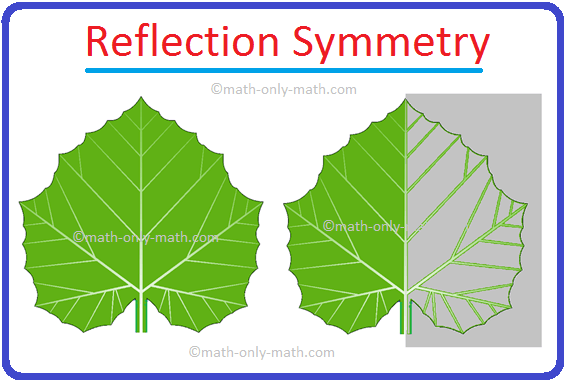 If we place a mirror on the line of symmetry we can see the complete image. So, we find that the mirror image or reflection of the image in the mirror and the given figure are exactly symmetrical. This type of symmetry is called reflection symmetry.