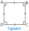 Regular Polygon Square