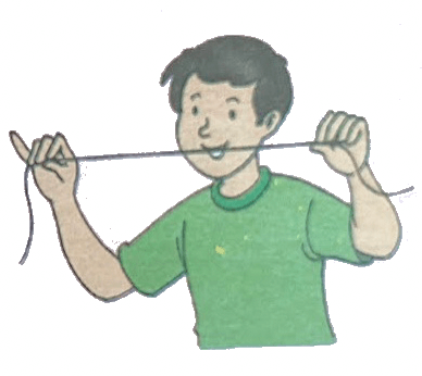 Straight Line Activity Straight Line Activity