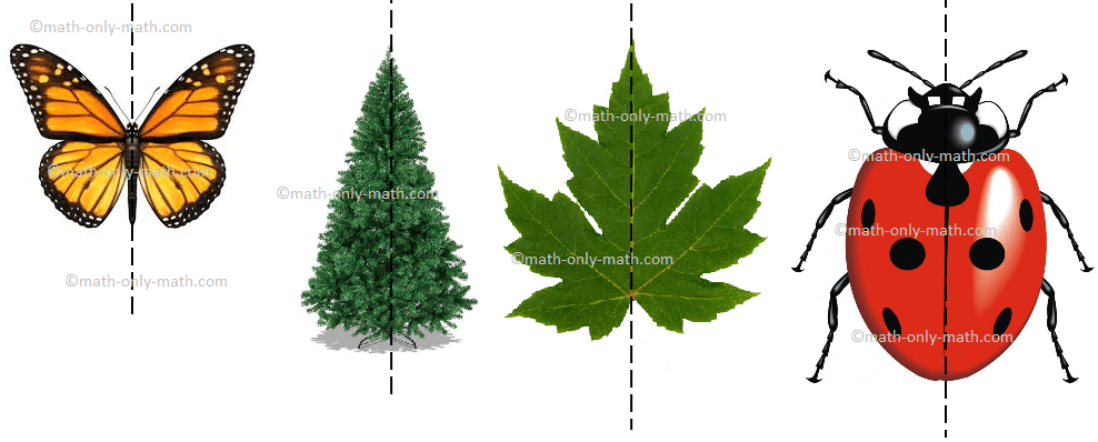 Symmetrical shapes are discussed here in this topic.  Any object or shape which can be cut in two equal halves in such a way that both the parts are exactly the same is called symmetrical. The line which divides the shape is called the symmetry. So, if we place a mirror