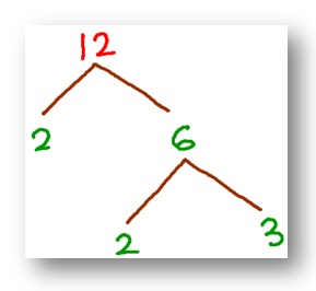 tree factor of 12
