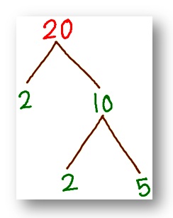 tree factor of 20