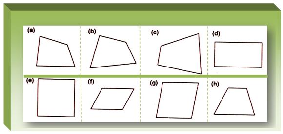 Quadrilateral Shapes Chart