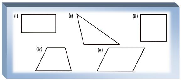 Worksheet on Polygons | Types of the Triangles | Draw the Shapes