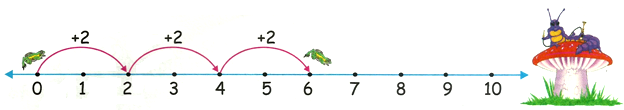 2 Times Table on Number Line