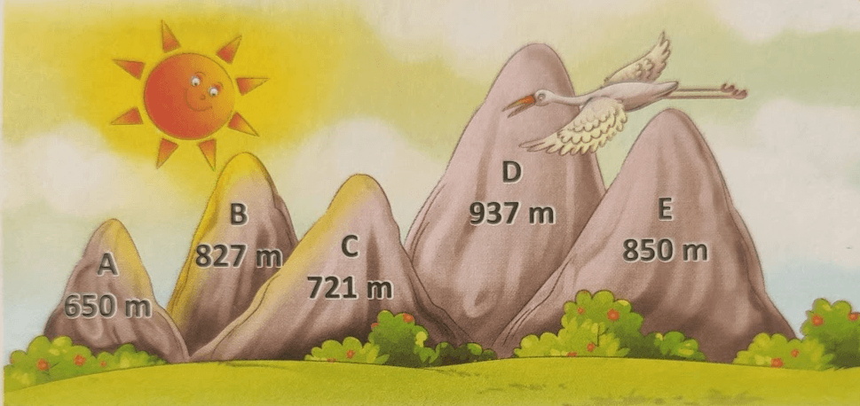 3rd Grade Math Questions