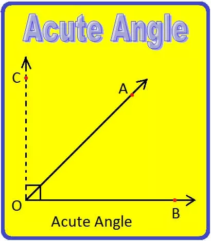 Acute Angle