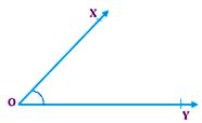 Acute Angle