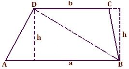 Area of trapezium