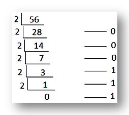 Binary Equivalent 