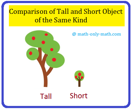 Comparison of Tall and Short Object of the same Kind