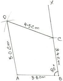 Steps of Construction of Quadrilaterals