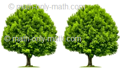 Count Number Two - Trees