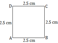 Examples on Perimeter of a Square