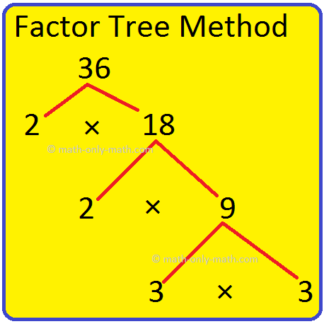 Factors of 2 - Find Prime Factorization/Factors of 2