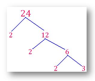 factor tree of 24