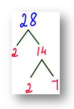 Find the factors of 28