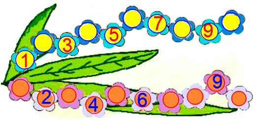Write the missing numbers in order